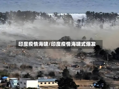 印度疫情海啸/印度疫情海啸式爆发-第3张图片