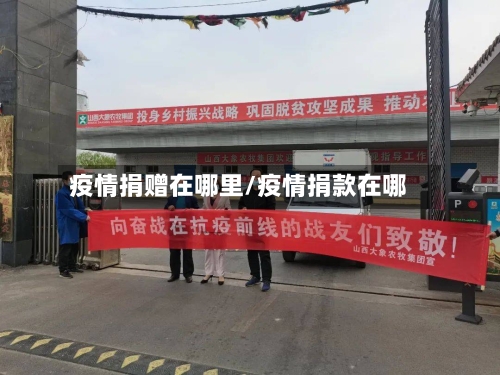 疫情捐赠在哪里/疫情捐款在哪-第2张图片