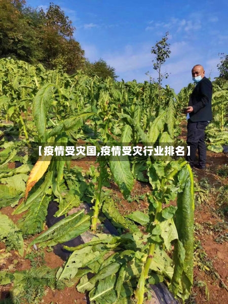 【疫情受灾国,疫情受灾行业排名】