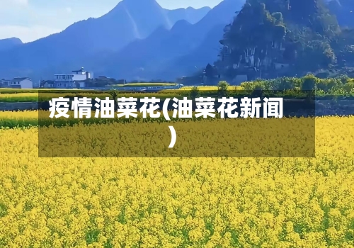 疫情油菜花(油菜花新闻)