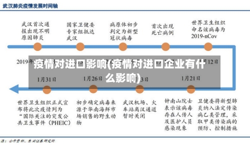 疫情对进口影响(疫情对进口企业有什么影响)-第1张图片