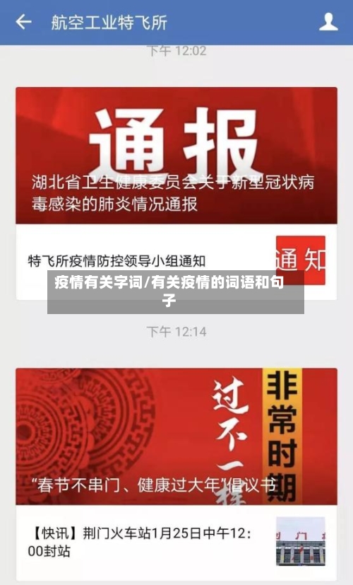 疫情有关字词/有关疫情的词语和句子-第2张图片
