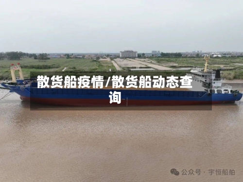 散货船疫情/散货船动态查询-第3张图片