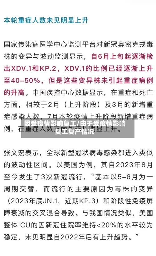 因受疫情影响复工/由于受疫情影响复工复产情况-第1张图片