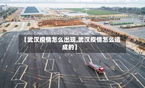 【武汉疫情怎么出现,武汉疫情怎么造成的】-第2张图片