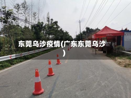 东莞乌沙疫情(广东东莞乌沙)-第2张图片