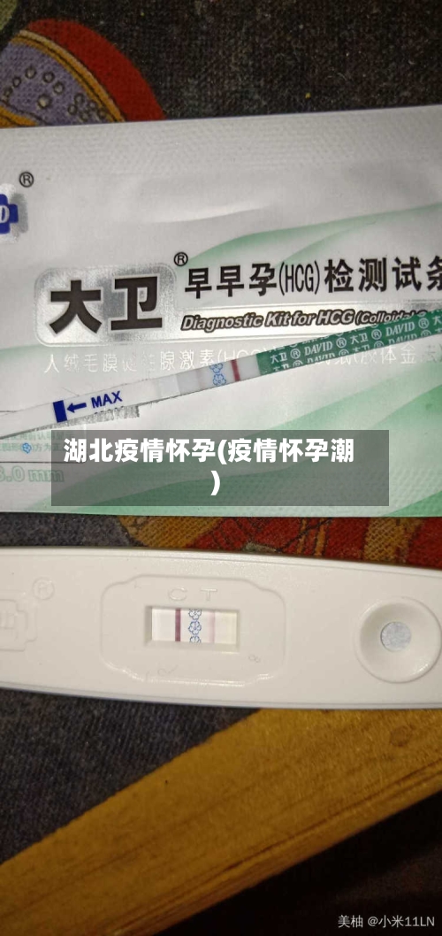 湖北疫情怀孕(疫情怀孕潮)-第1张图片