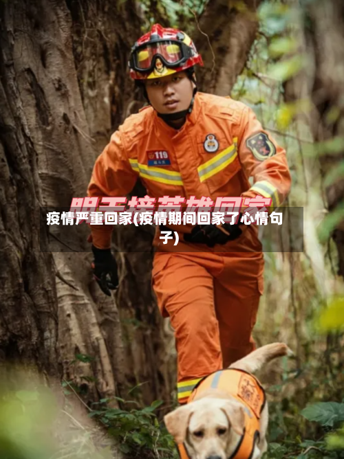 疫情严重回家(疫情期间回家了心情句子)-第1张图片