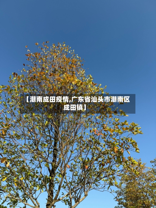 【潮南成田疫情,广东省汕头市潮南区成田镇】-第3张图片