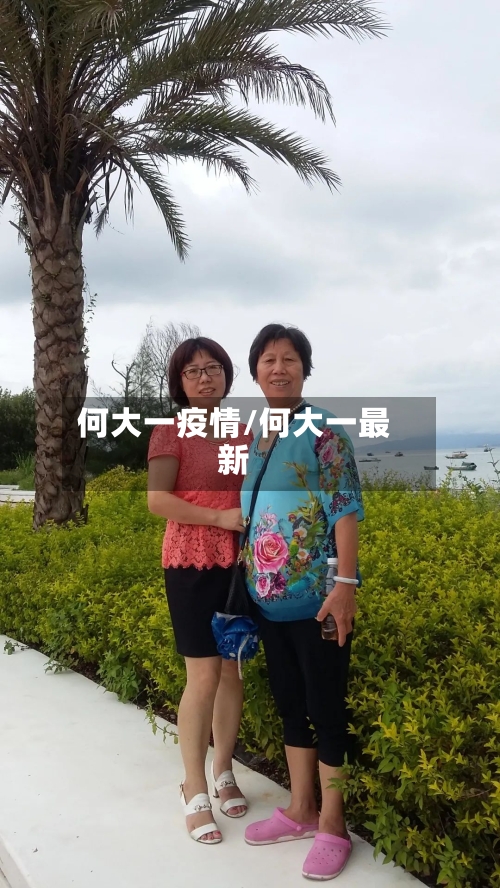 何大一疫情/何大一最新-第1张图片