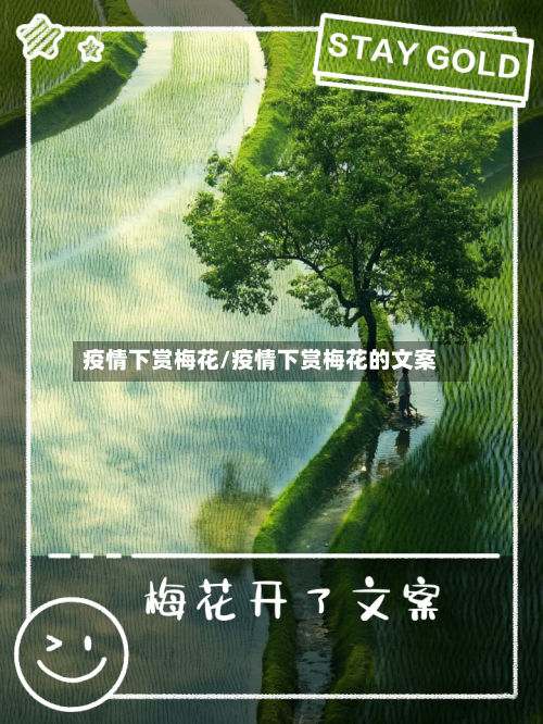 疫情下赏梅花/疫情下赏梅花的文案-第1张图片