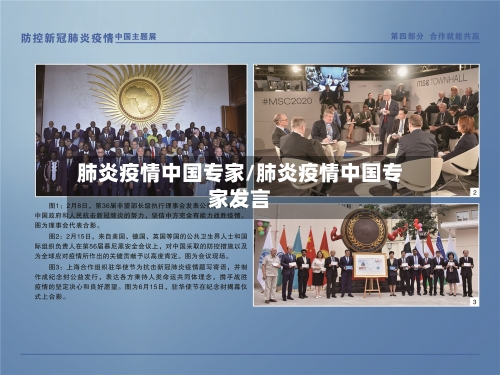 肺炎疫情中国专家/肺炎疫情中国专家发言-第2张图片