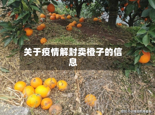 关于疫情解封卖橙子的信息-第1张图片