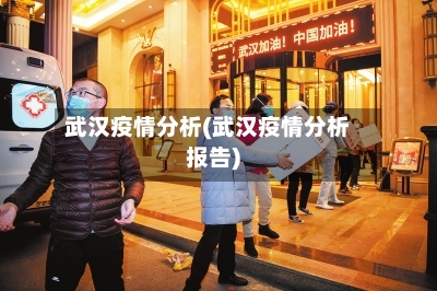 武汉疫情分析(武汉疫情分析报告)-第1张图片