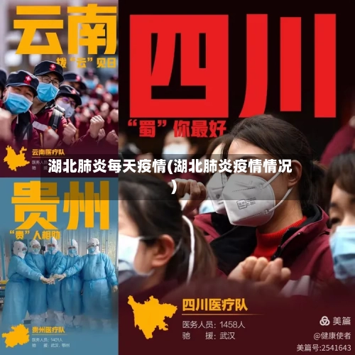 湖北肺炎每天疫情(湖北肺炎疫情情况)-第3张图片