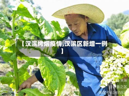 【汉滨烤烟疫情,汉滨区新增一例】-第2张图片