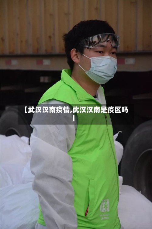 【武汉汉南疫情,武汉汉南是疫区吗】-第1张图片