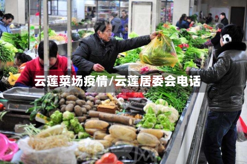 云莲菜场疫情/云莲居委会电话-第1张图片