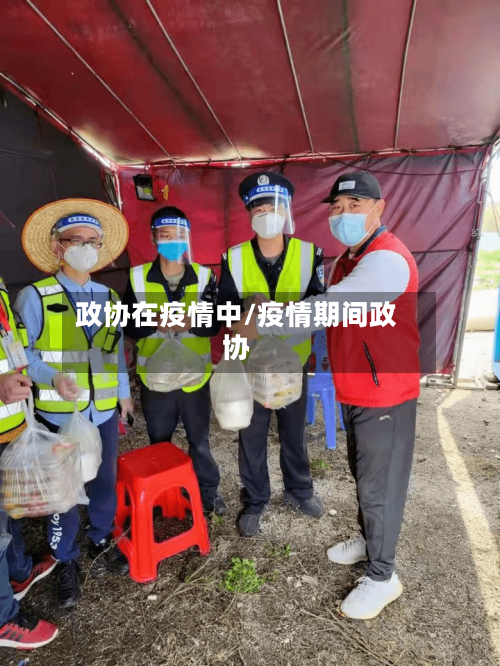 政协在疫情中/疫情期间政协-第3张图片