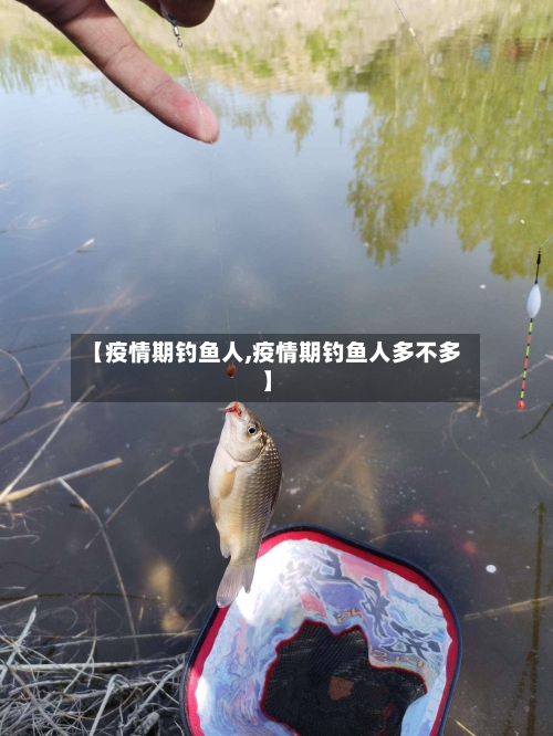 【疫情期钓鱼人,疫情期钓鱼人多不多】-第1张图片