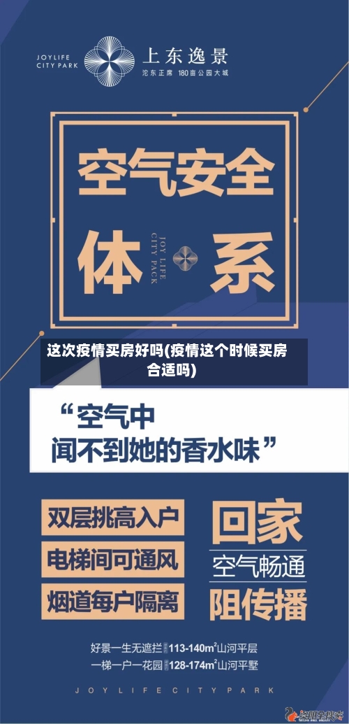 这次疫情买房好吗(疫情这个时候买房合适吗)-第2张图片